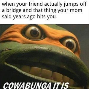 Meet your Posher, River